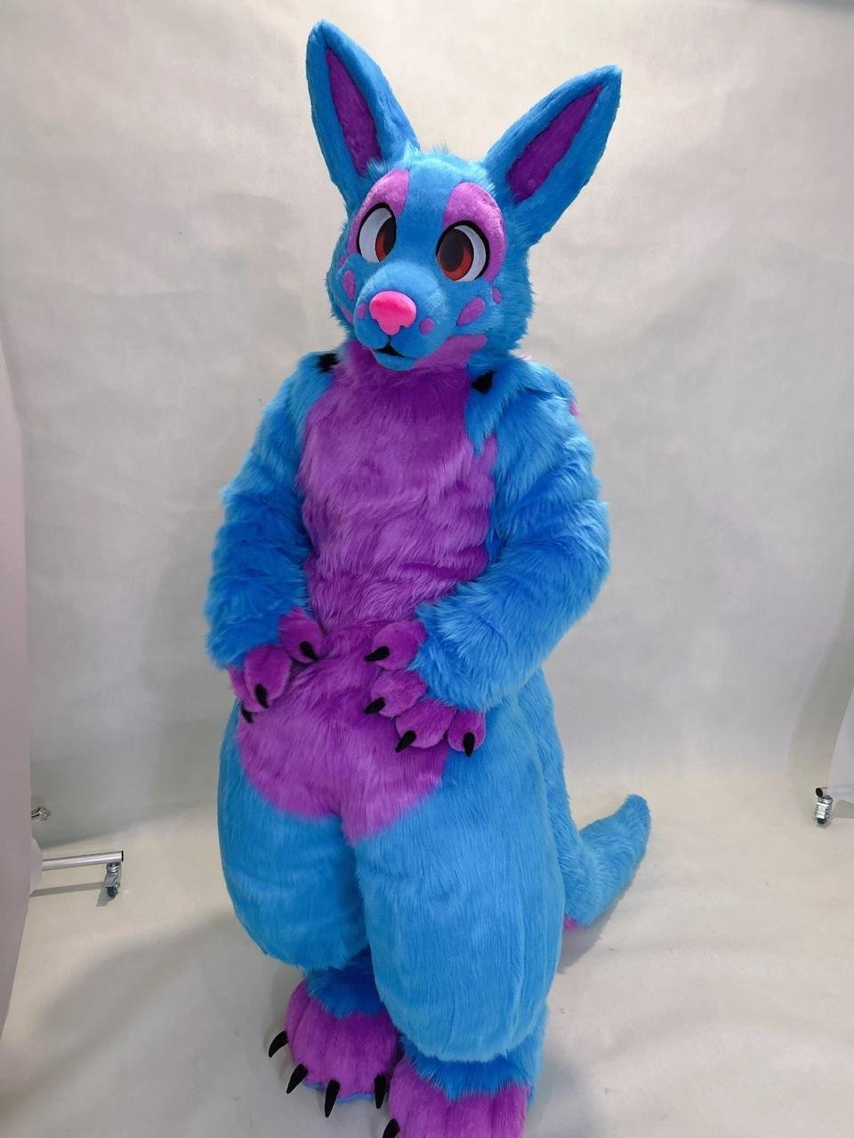 Recent Commission 02