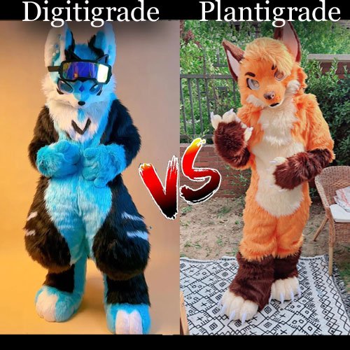 Plantigrade vs Digitigrade: Which Fursuit Style Is Right for You?