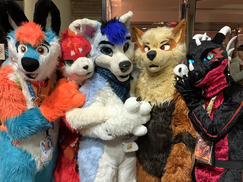 Fursuit Convention