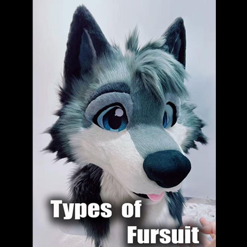 How Many Types of Fursuits?