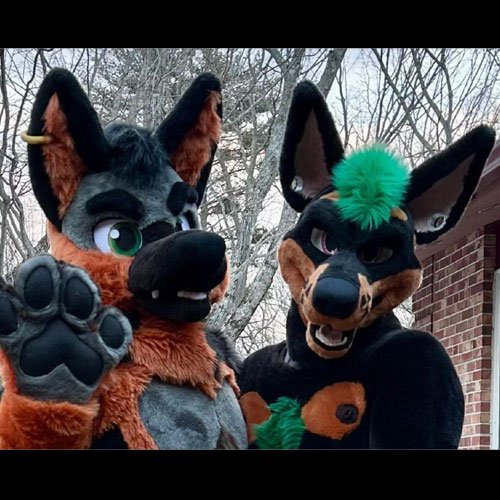 Thinking About Getting a Fursuit Commission? Read This First