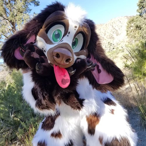 Custom Fur Suits: Bringing Characters to Life